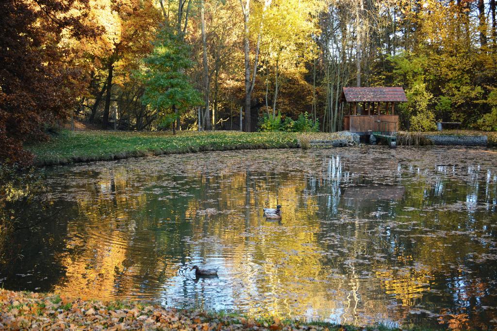 Penzion Farma Dvorec Radnice Exteriör bild